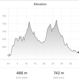 40km race profile