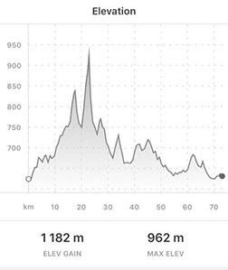 72km race profile